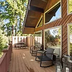 The Treehouse