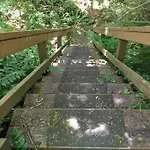 Mt Baker Rim Cabin 77, The Mountain View Delight