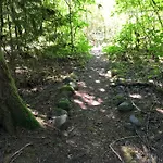 Mt Baker Rim Cabin 77, The Mountain View Delight