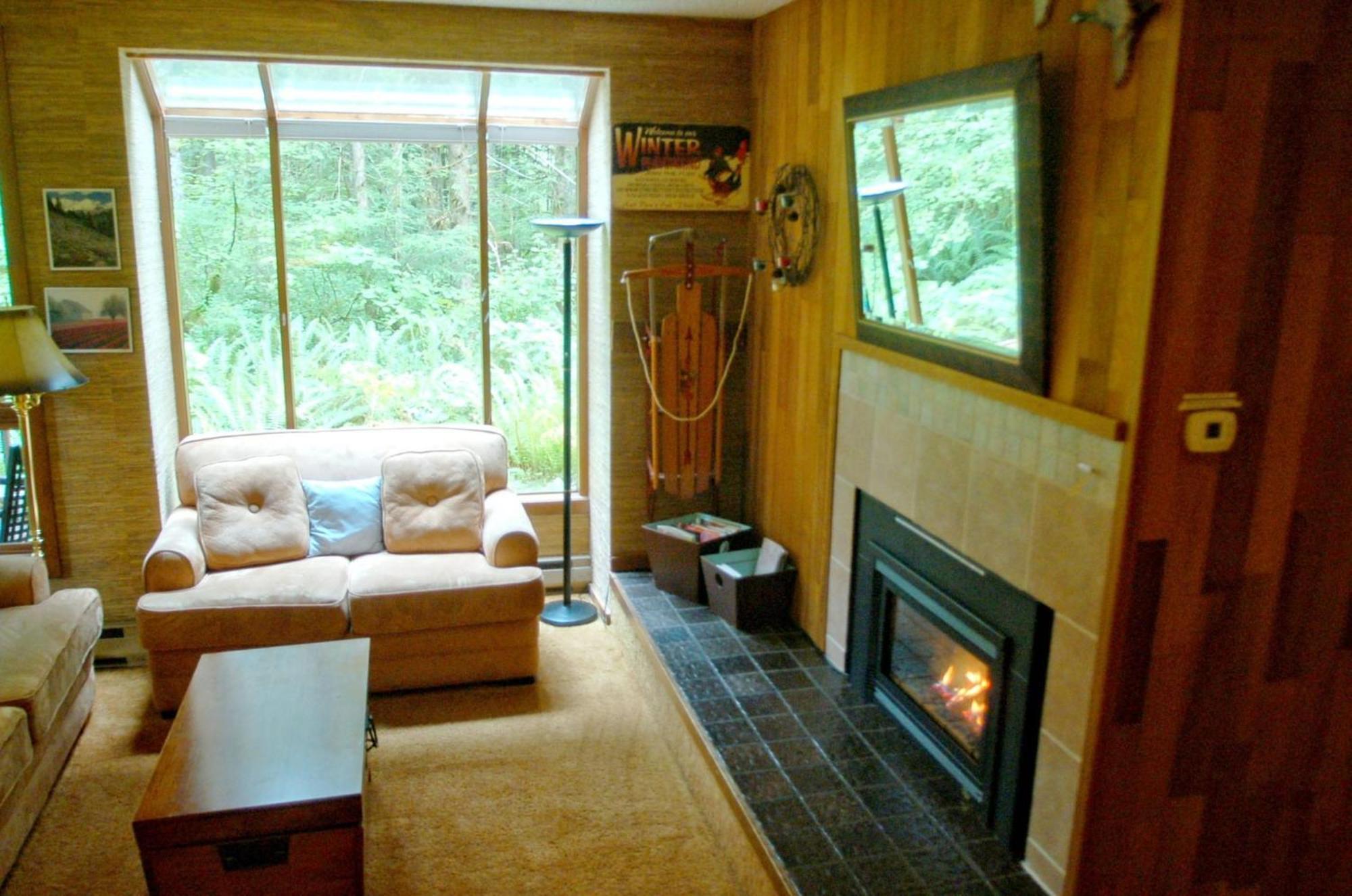 Snowater 84 - Large With Private Sauna And Soaker Tub Apartment Bellingham