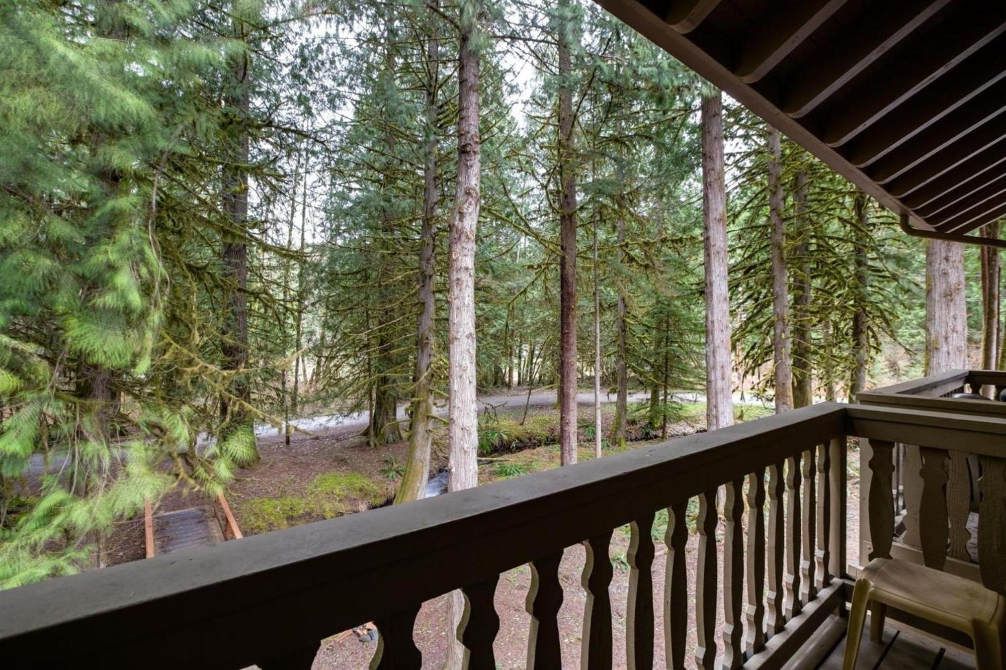 Snowline - 56 - Sleeps 4 - Close To Mt Baker Free Wifi Apartment