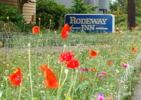 Rodeway Hotel
