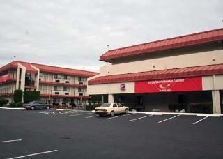 Motel Morningglory &