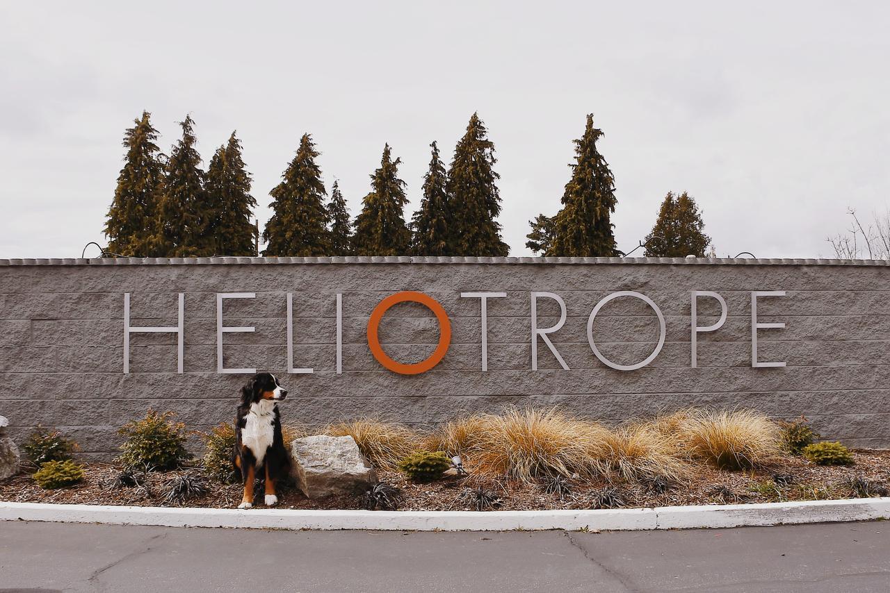 Heliotrope Motel 2*
