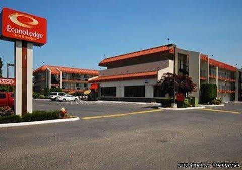 Motel Morningglory &