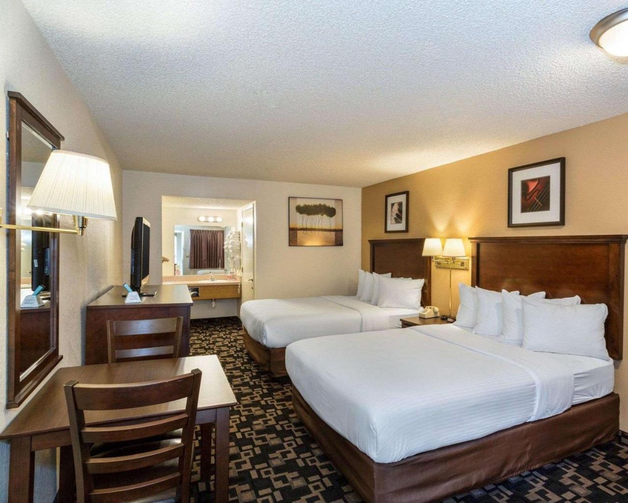 Motel Morningglory &