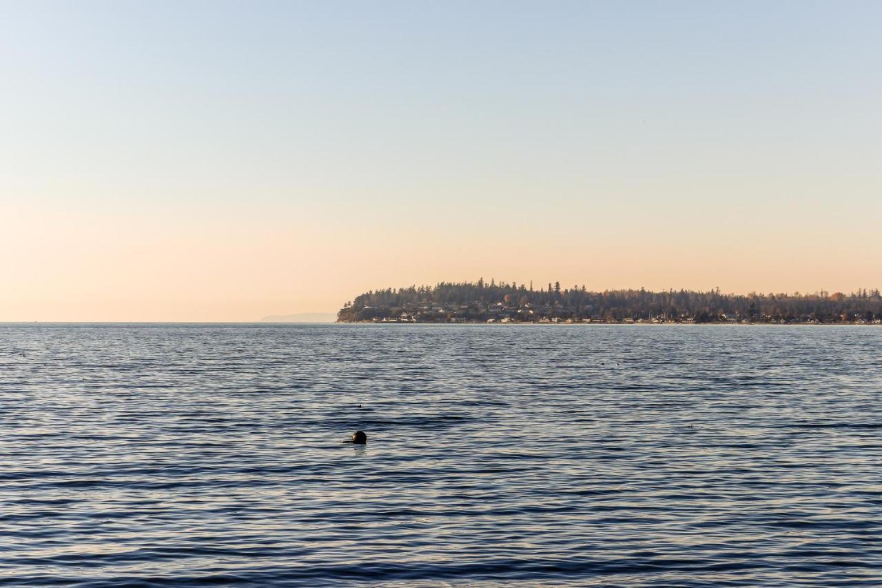 Apartment Birch Bay Sunset View
