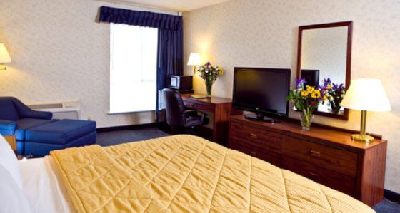 Inn Comfort