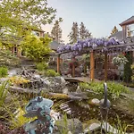 Moon Dance Bed & Breakfast