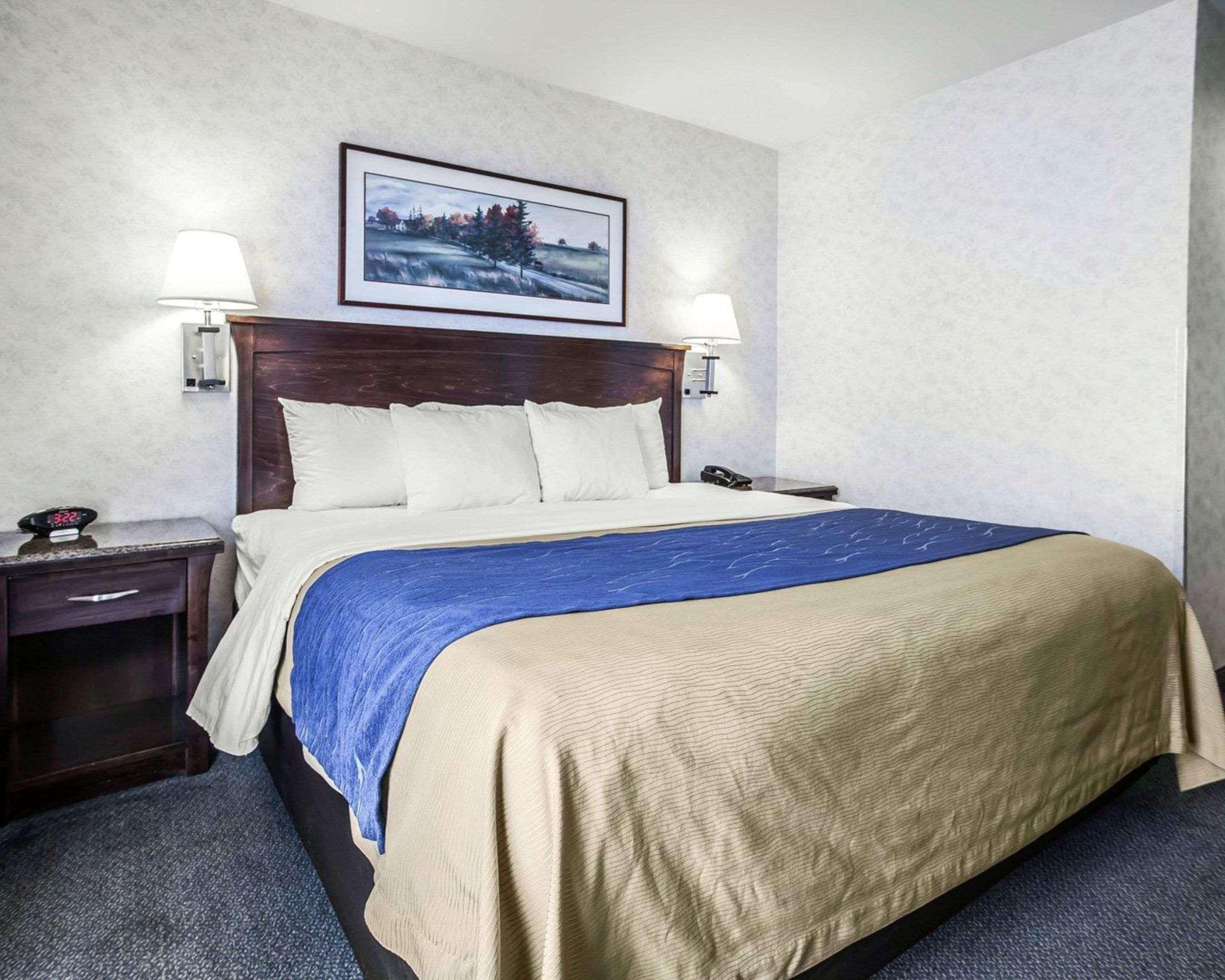 Comfort Bellingham