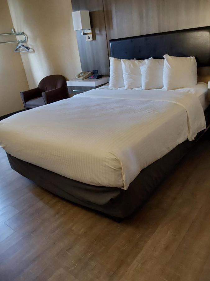 Lavissh And Hotel