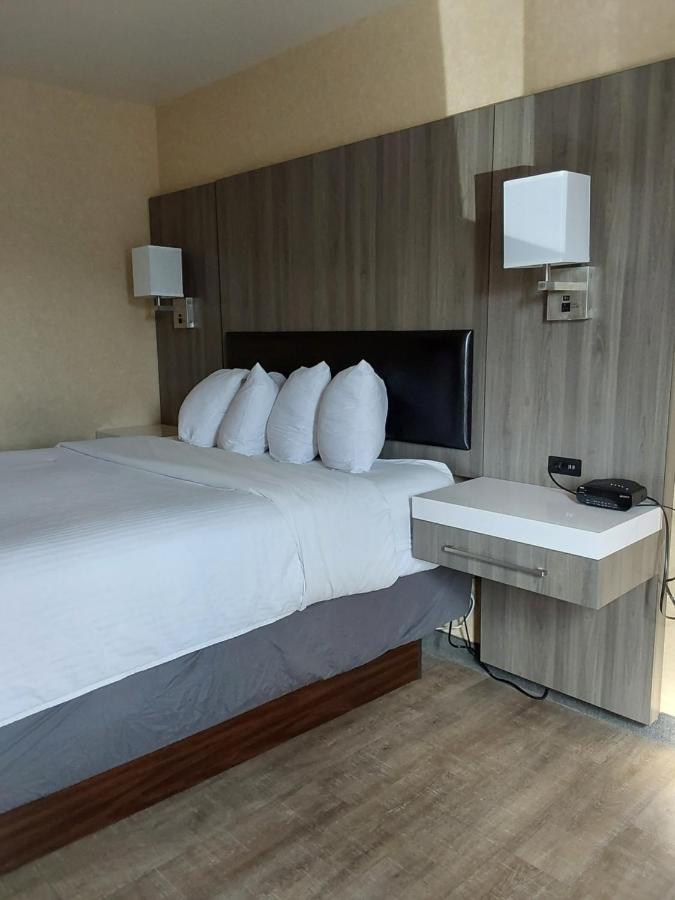 Lavissh And Hotel