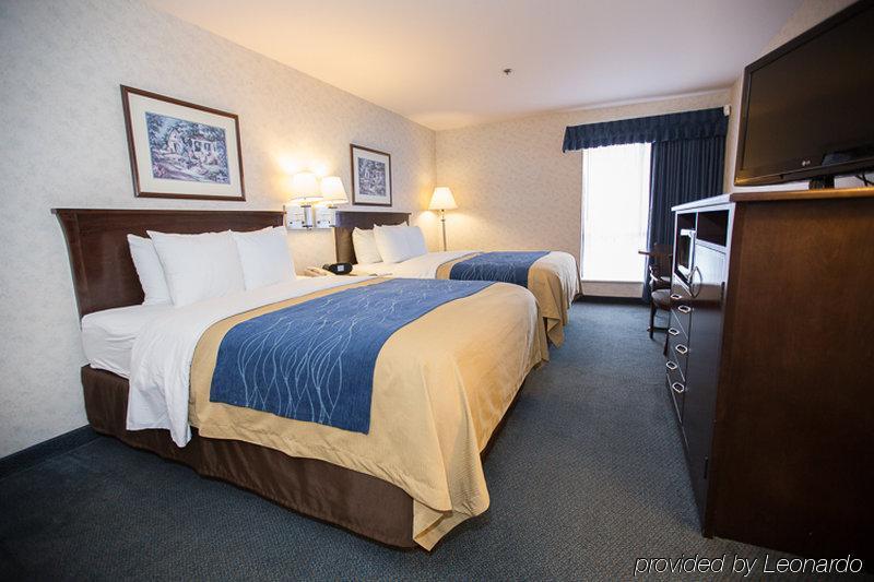 Comfort 3*