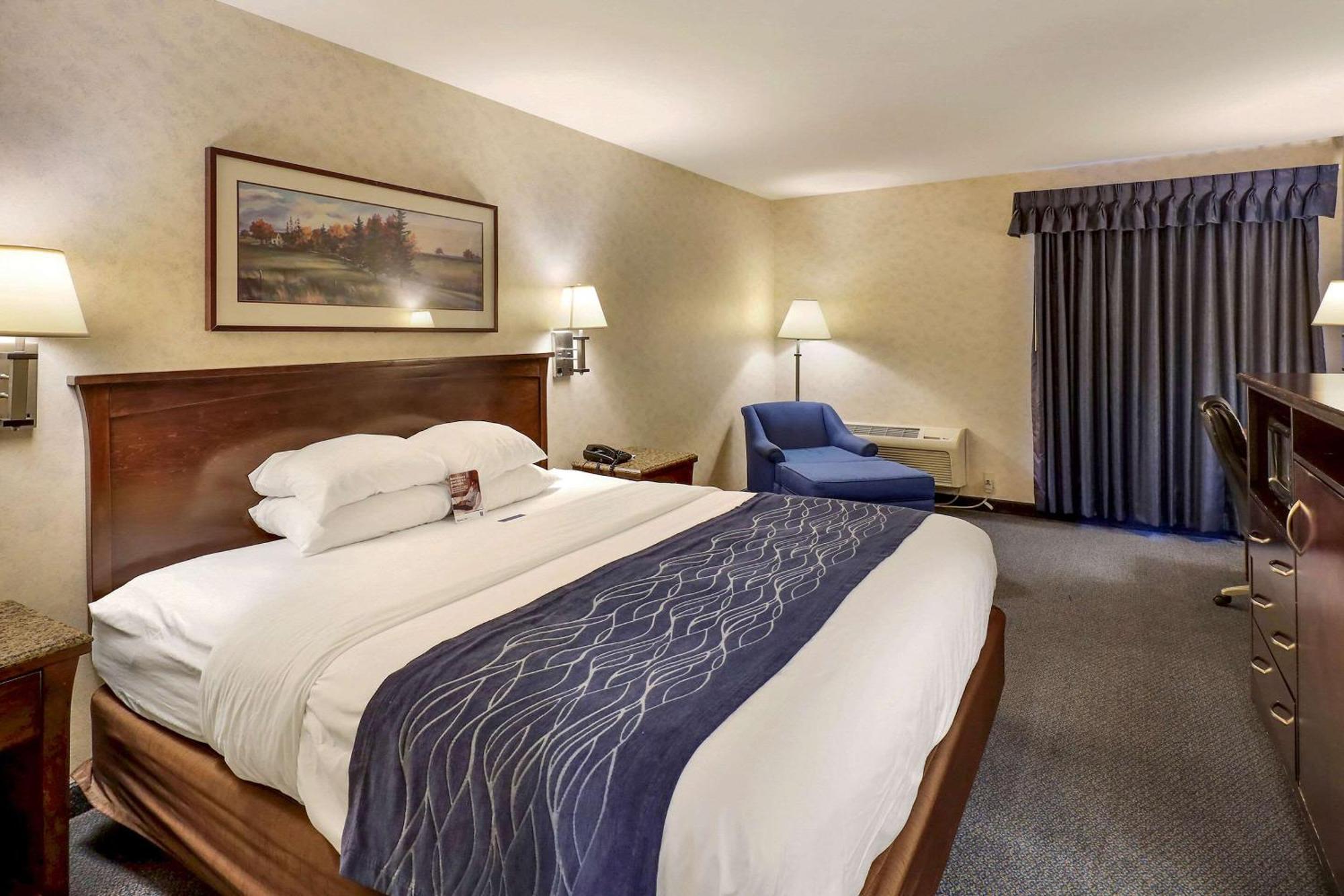 Comfort Bellingham