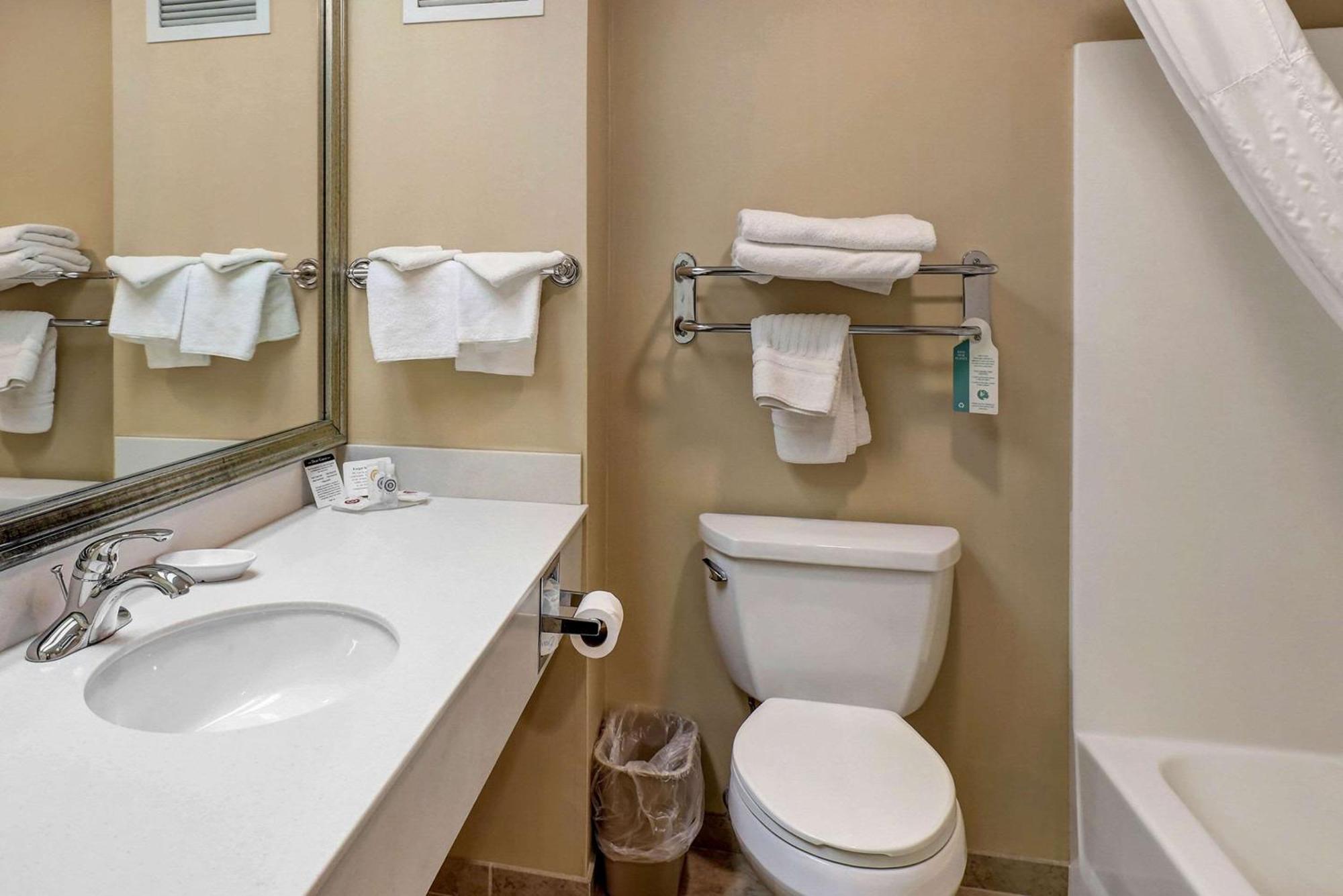 Comfort Bellingham