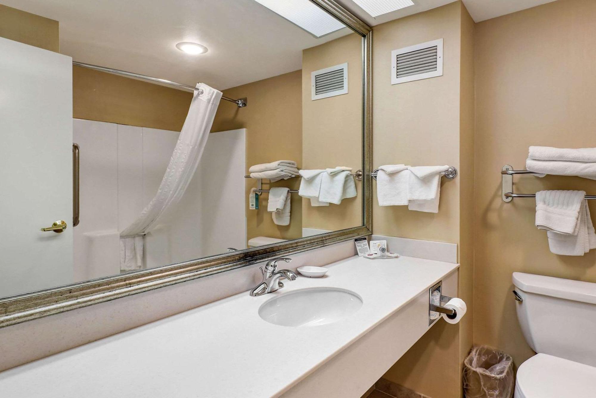 Comfort Bellingham