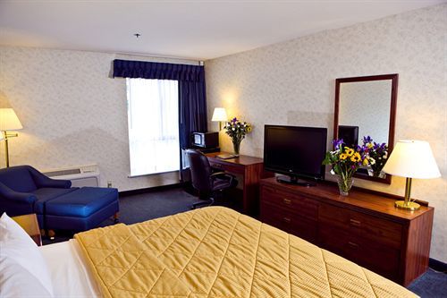 Inn Comfort
