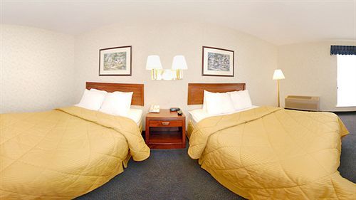 Comfort Bellingham