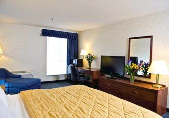 Comfort 3*