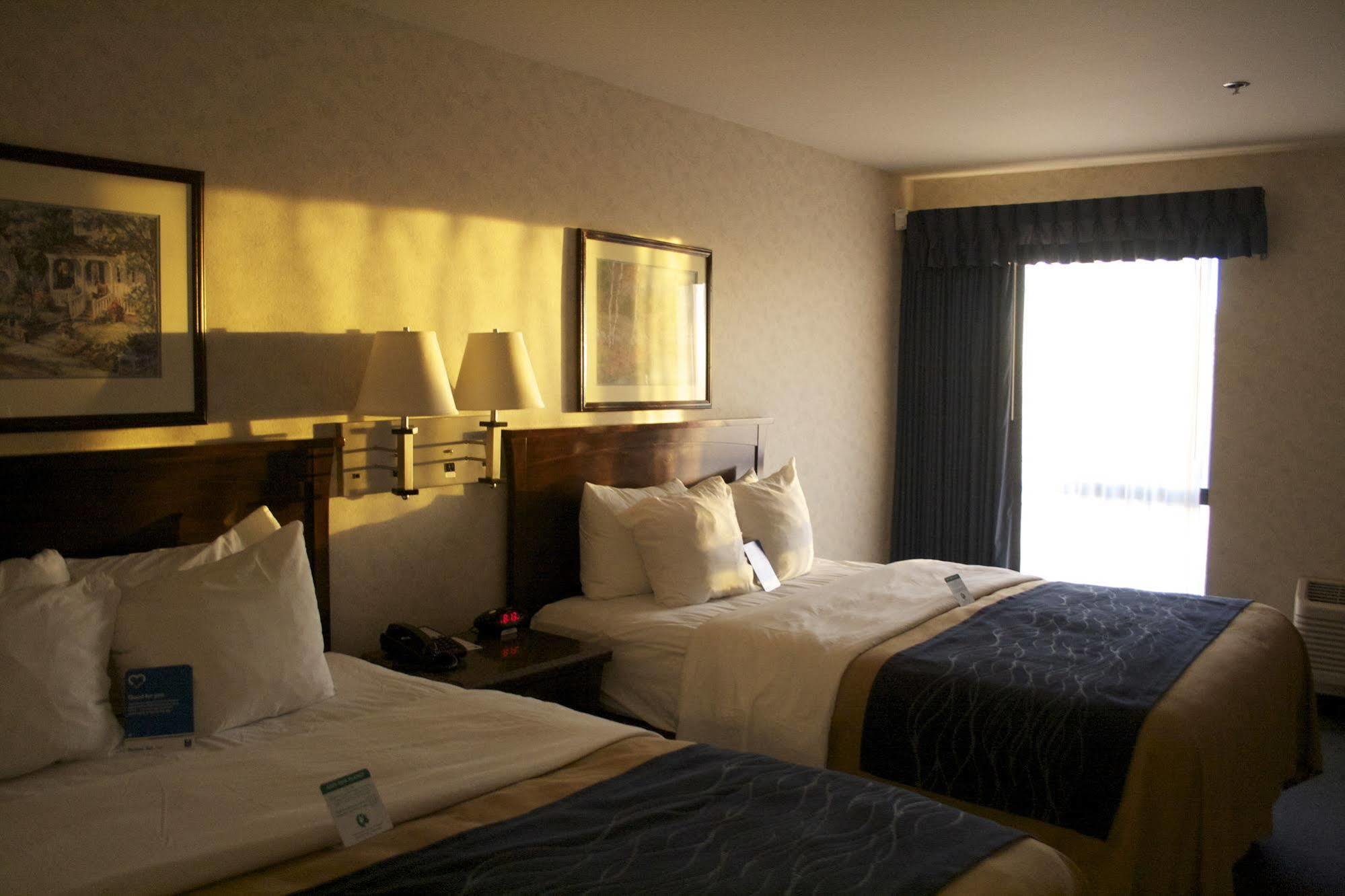Comfort Bellingham