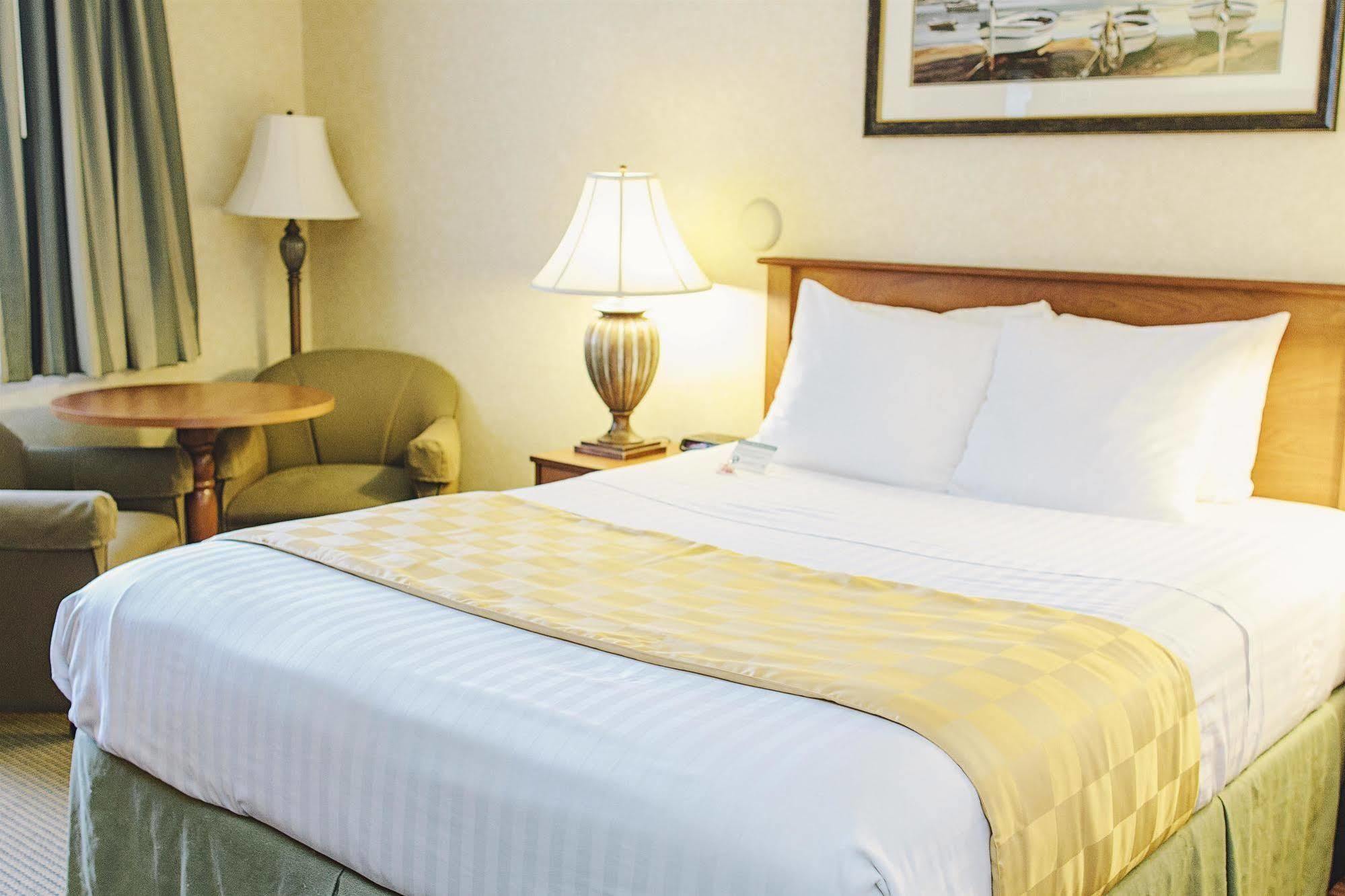 Hotel Lavissh And Bellingham